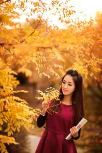 女世子电视连续剧免费观看